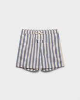 Printed Macro Stripes Swim Shorts |