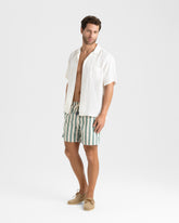 Printed Macro Stripes Swim Shorts |