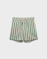 Printed Macro Stripes Swim Shorts |