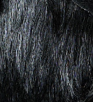  | 